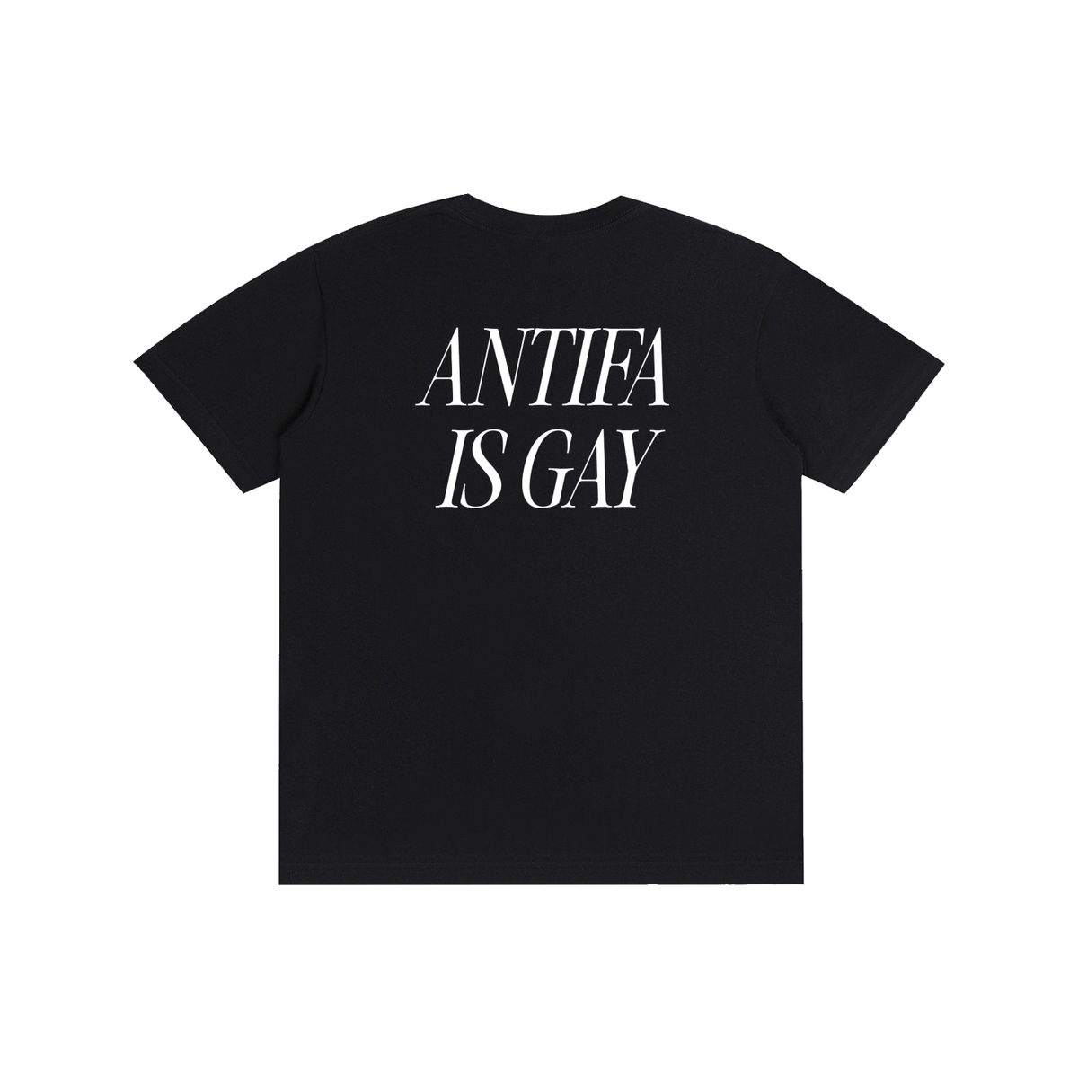 ANTIFA IS GAY BACKSIDE T-Shirt